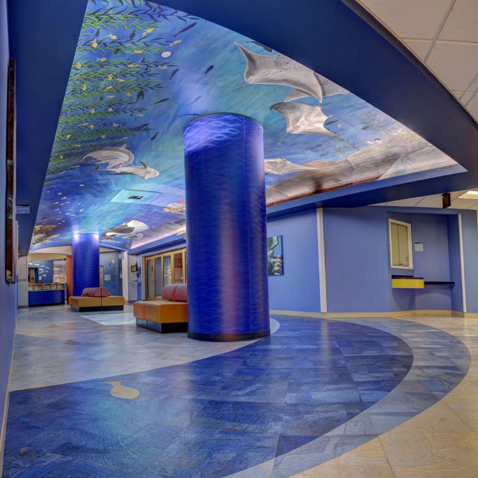 Colorful ocean design hospital interior