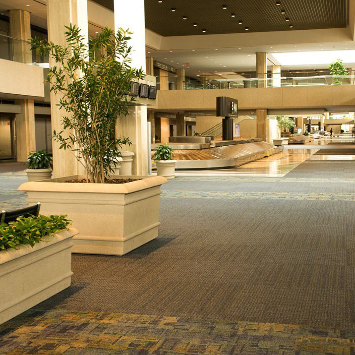 Spacious library interior with patterned carpet and hard surface flooring