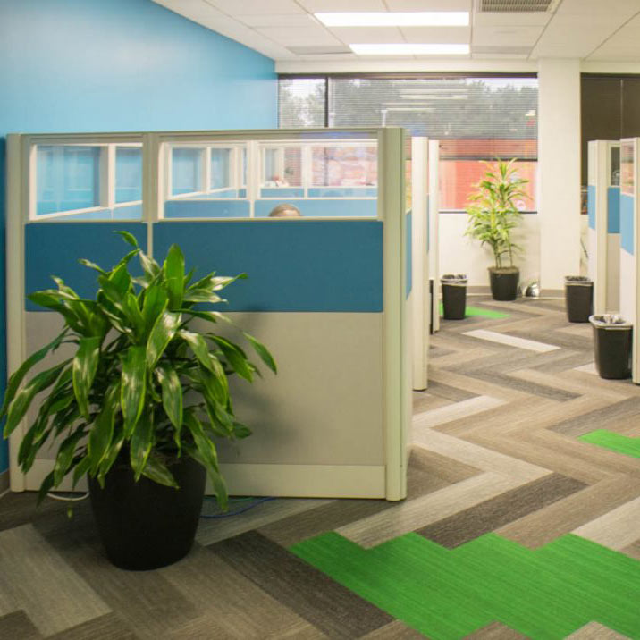 Green and blue hues bright commercial office interior