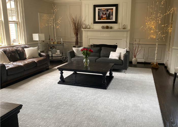 Area Rug living room scene with dark hardwood floors